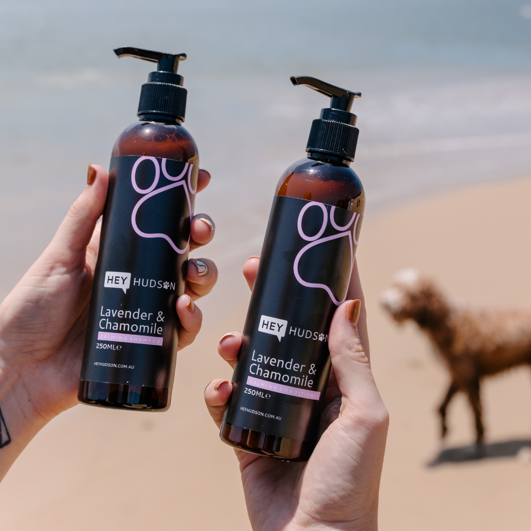 Dog hair top growth shampoo